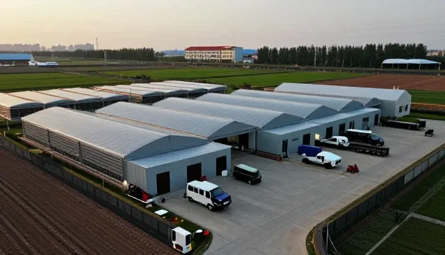 技术开发服务在行业中的发展趋势与实践路径